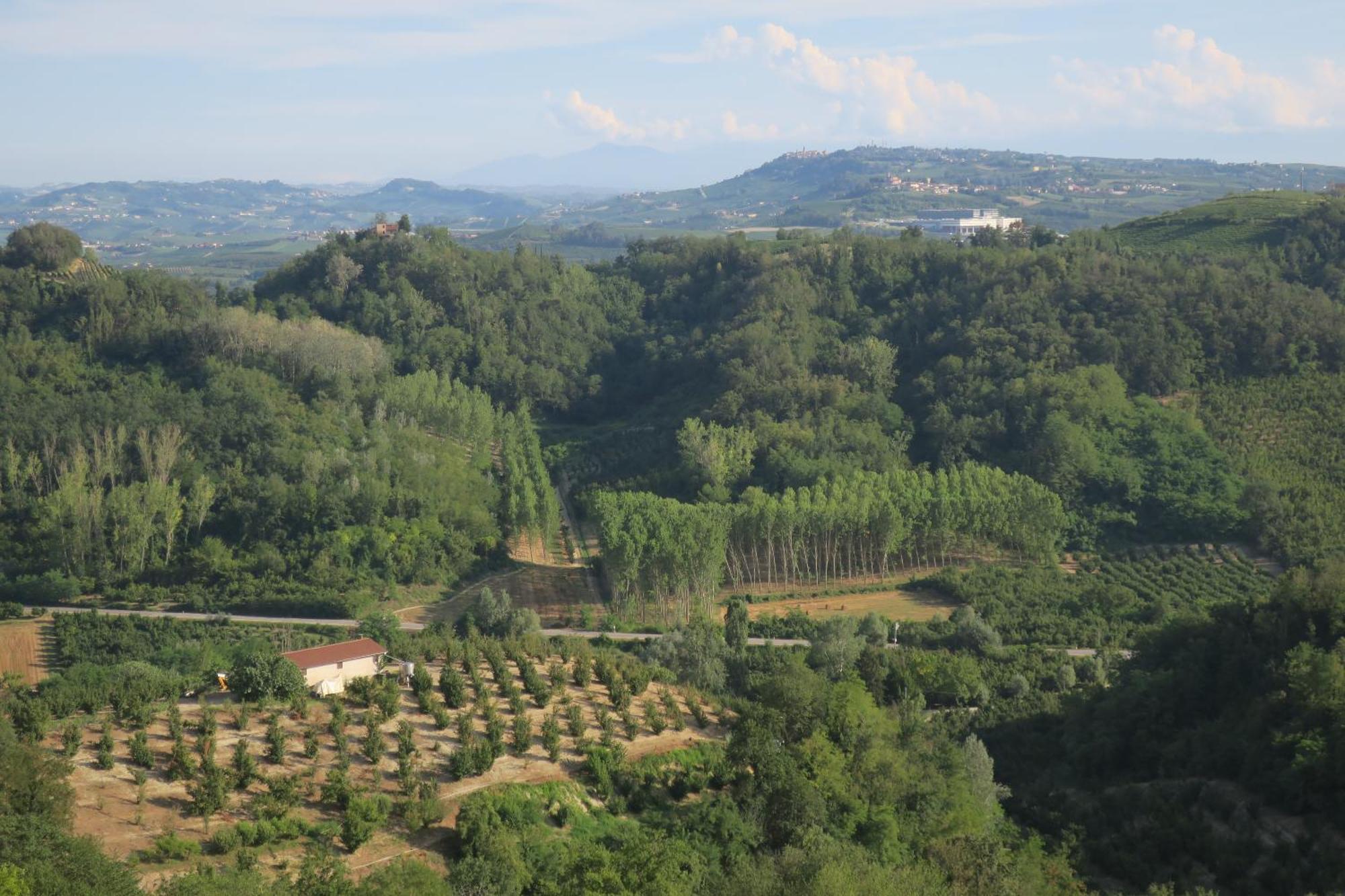Foresteria Ristorante Conti Roero Monticello d'Alba 외부 사진